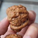 하마사 이미지