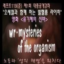 헌재가 인정한 &lt;성적 자기결정권&gt;은 성매매 합법화의 근거이기도 하다