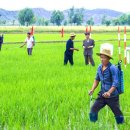 황주농장 이미지