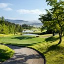 TM골프클럽 이미지