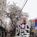 제주왕