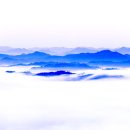 내마음바다죠 이미지