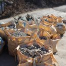 레디젯코리아 이미지