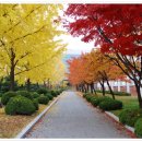 구미전자공업고등학교 이미지