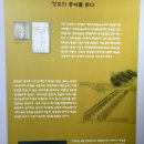 노을빛진산 | 강진 다산박물관