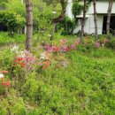 조안 농장 이미지