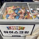 백동물병원 뉴스1