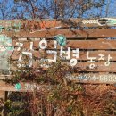 김일병농장 네이버블로그