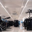 헬스피티 이미지