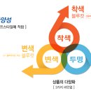 다비치안경원 미아사거리점 이미지