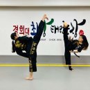 경희대최강태권도 이미지