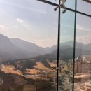 더엠브로시아 | 강원도 울산바위 뷰 카페 델피노 더엠브로시아 후기｜내돈내산 솔직 리뷰