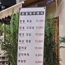 탄통제주돼지