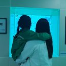 새들마을빌A동 | [울릉도] 가족여행이라 쓰고, 가이드 체험판 여행.