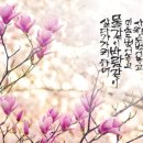 아리랑세탁 이미지