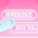 대한안경콘택트 이미지