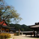 오대주유소 이미지