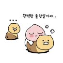 설아헤어 - 북구 | 설아헤어