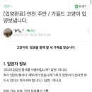 고양이김밥