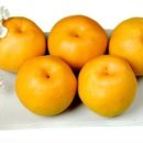 낙산농장 이미지