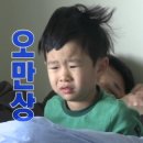 다래화