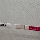 정이생(하) 이미지