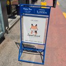 영원할 청춘🍀데이식스- &#39;FOREVER YOUNG&#39; 막막콘 마데일기💚 안녕 행복했다🫶🏻