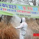 도계유통 이미지