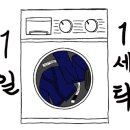 킹덤주짓수대명