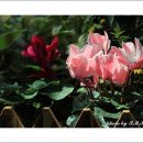 달리는족족 이미지