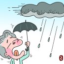 장마가 시작 됐어요 이미지