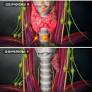 이내선아 네이버블로그