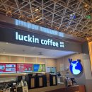 코코 | 칭다오 믹스몰 맛집｜루이신 커피 코코넛커피 솔직후기, 코코 밀크티