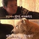 지열농장 | [NZ🇳🇿 D+23] 뉴질랜드 북섬 로토루아 여행 | Agrodome 아그로돔 농장 | 유황온천♨️ | The Redwoods 산책