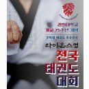 라이온스태권도 이미지
