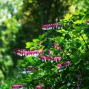 박열목장 이미지