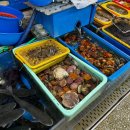 경포회센타 이미지