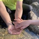 전망대횟집 이미지