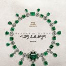 송경미 이미지