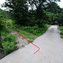 삼계리 노인회관 옆 이미지