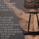 선혜바디