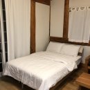 동화나라 애견 이미지