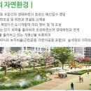 신내당구장 이미지