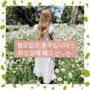 전구인간 네이버블로그