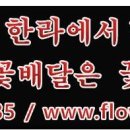 김은주꽃플라워 이미지