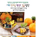 맛보면 반하는 진짜 제주초콜릿&크런치초코! 이미지