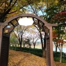 안산화랑오토캠핑장 이미지