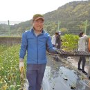 창선농장 이미지