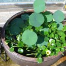 푸른하늘주유소 이미지