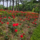생기자리공원 입구 이미지
